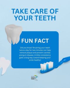 How Often Should You Brush to Minimise Plaque?